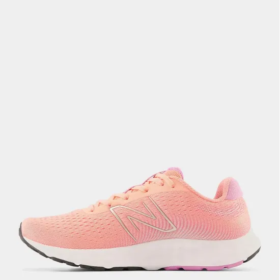 Кросівки New Balance 520 V8 W520CP8
