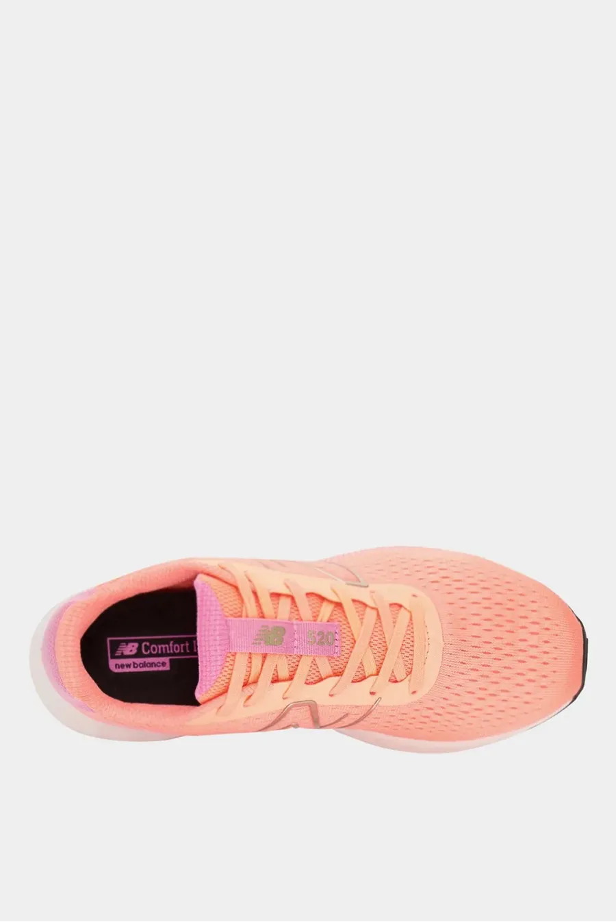 Кросівки New Balance 520 V8 W520CP8