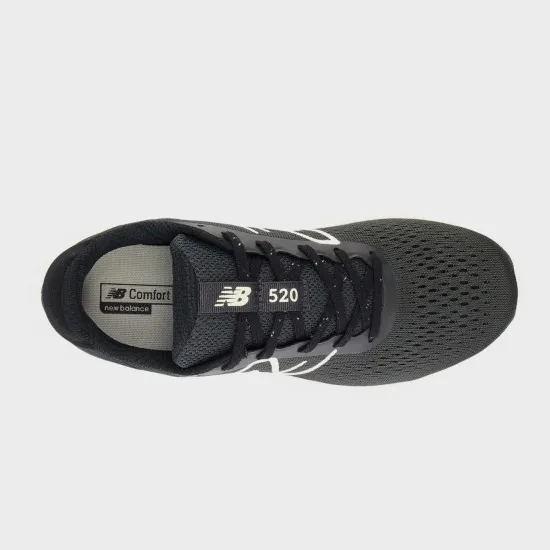 Кросівки New Balance 520 V8 W520FB8
