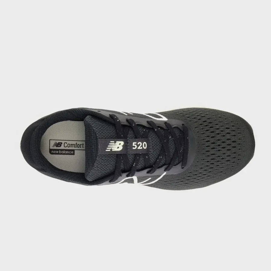 Кросівки New Balance 520 V8 W520FB8